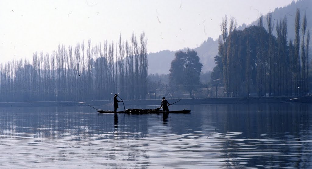 LLAC DAL Sikhara