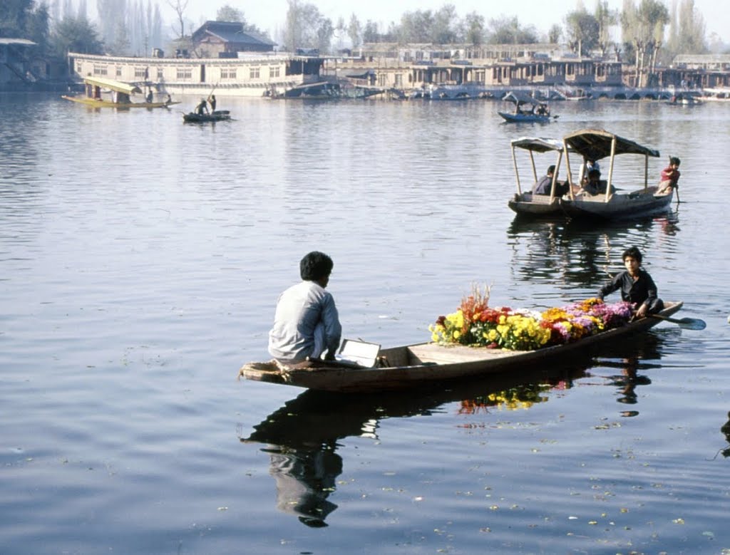 LLAC DAL venedor de flors