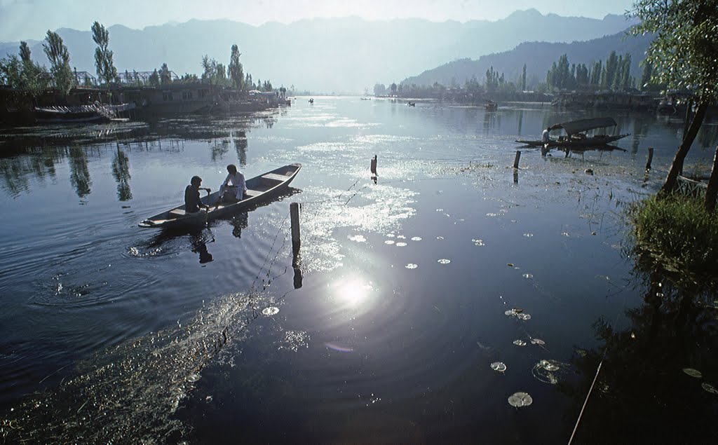 Lake Dal