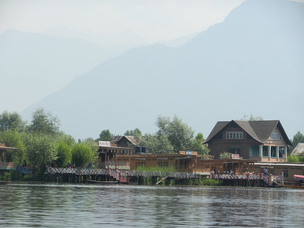 A shot from a Shikara Boat on Dal Lake: Srinagar, Kashmir Valley, Jammu & Kashmir