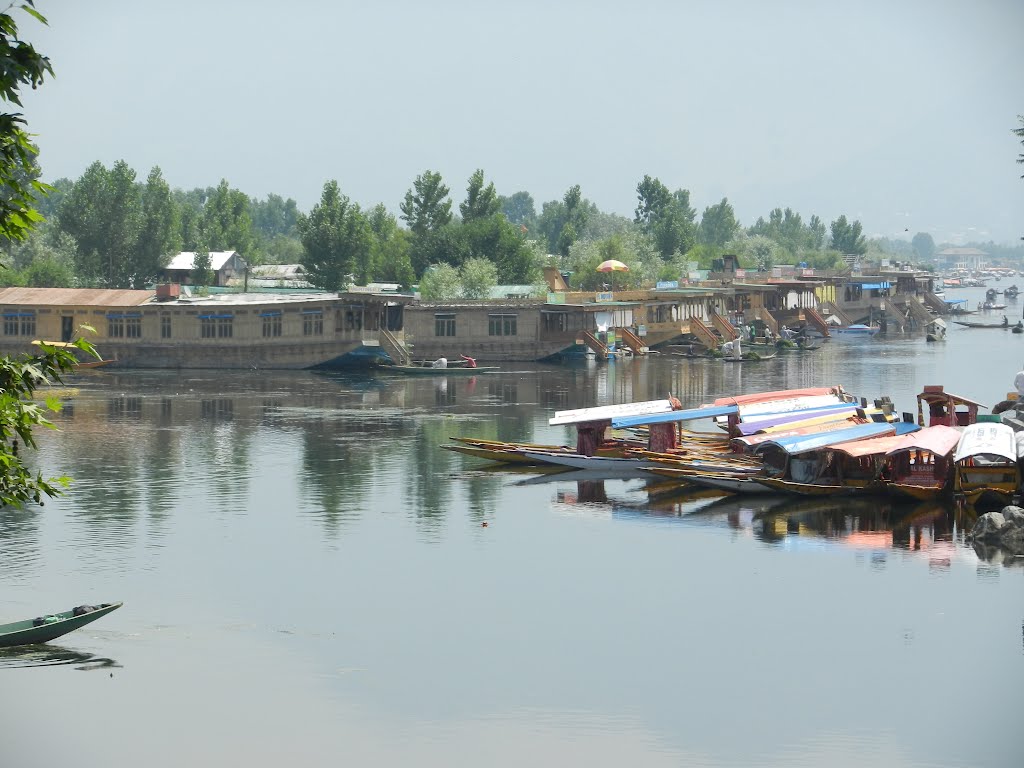 Great view of Dal Lake from Dal Gate: Srinagar, Kashmir Valley, Jammu & Kashmir