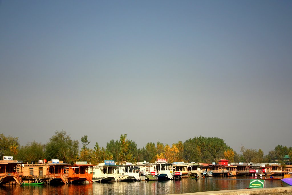 Kashmir