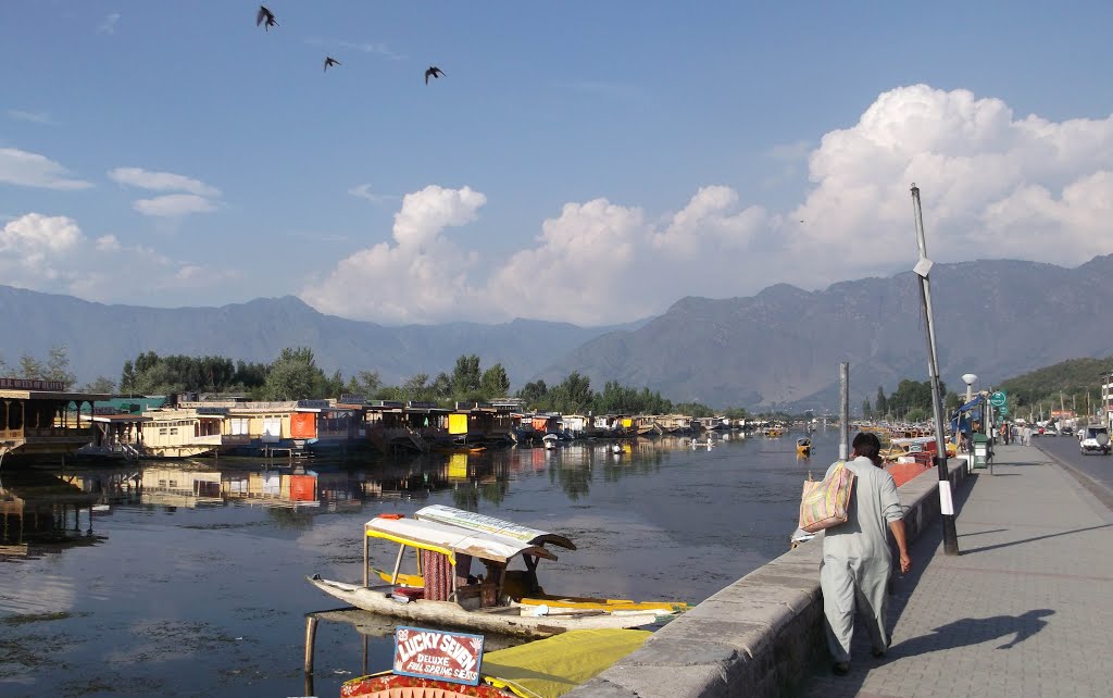 Dal Lake Srinagar