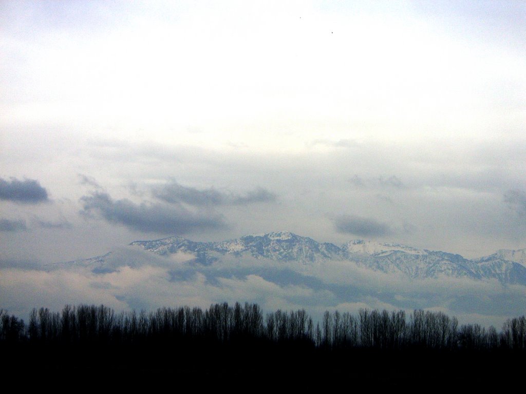 India Kashmir Srinagar - Karakoram