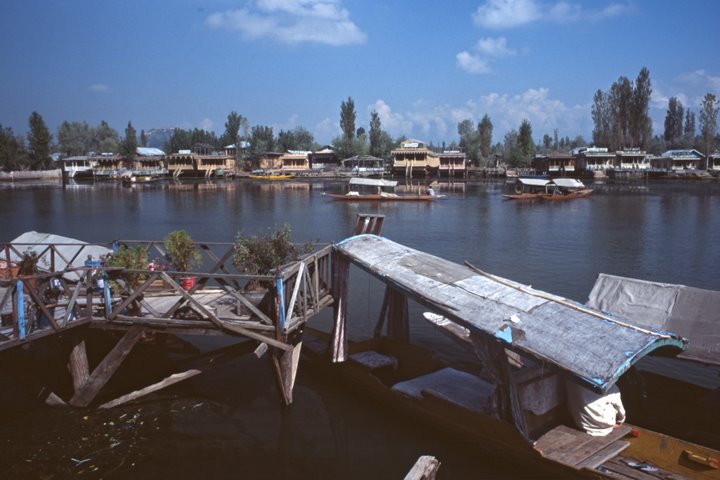 Dhal Lake, Srinagar I