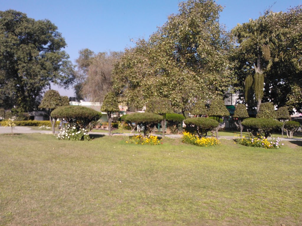 Gole Market Park Jammu
