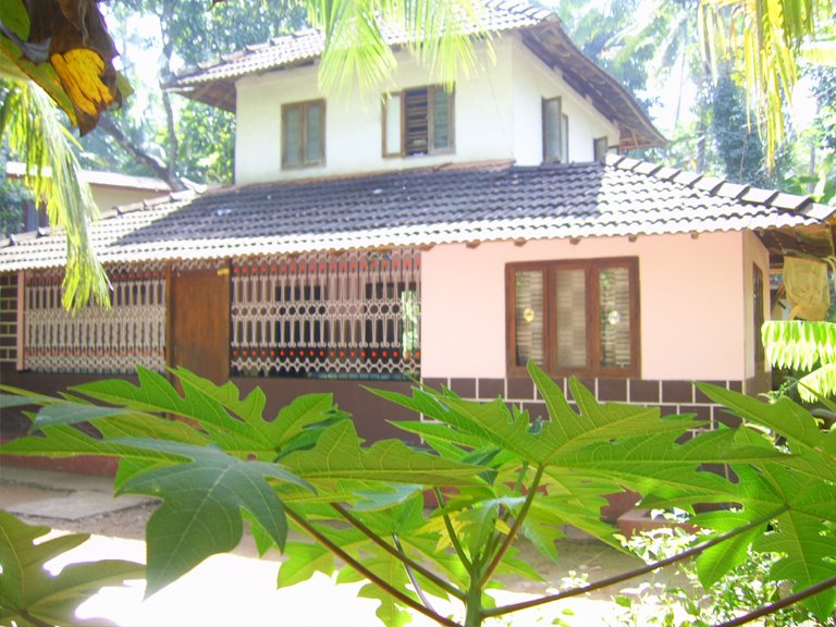 PP House