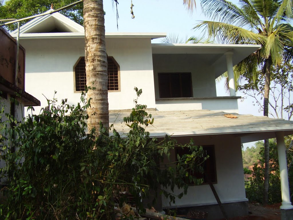 Salims House