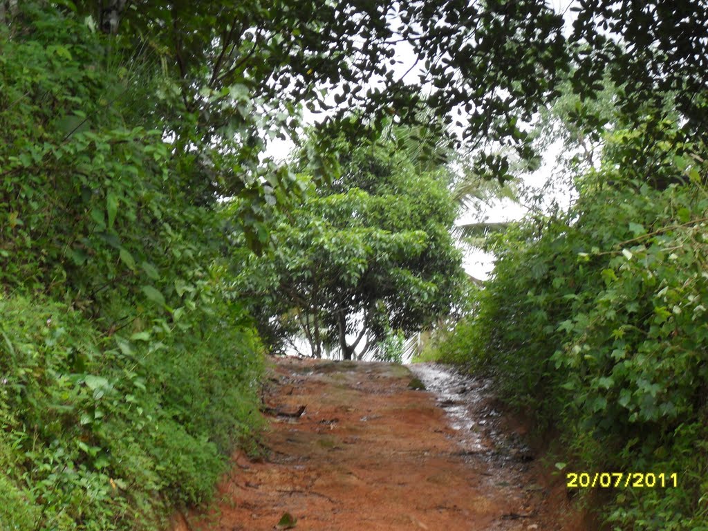 village road, kanjiramuzhi, mukkam
