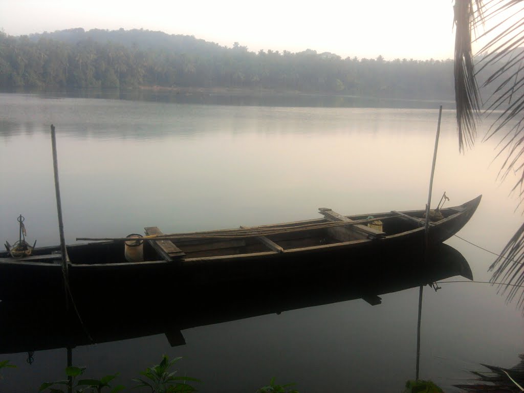 Mannil kadavath