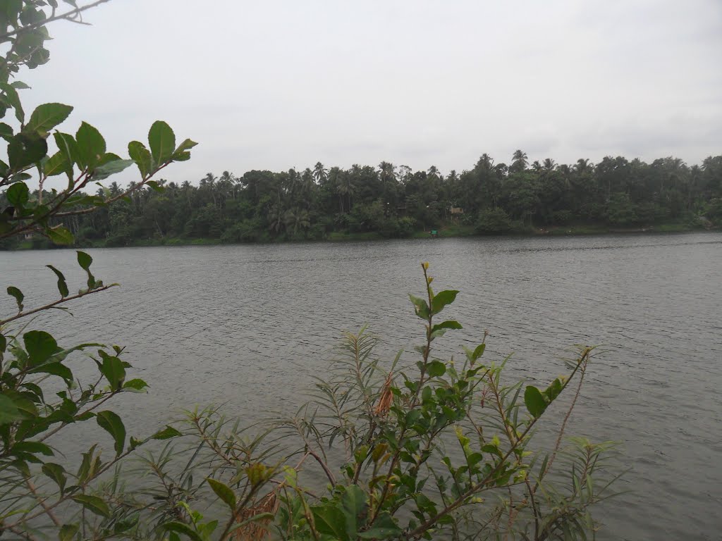 chaliyar river - cheruvadi kadavu