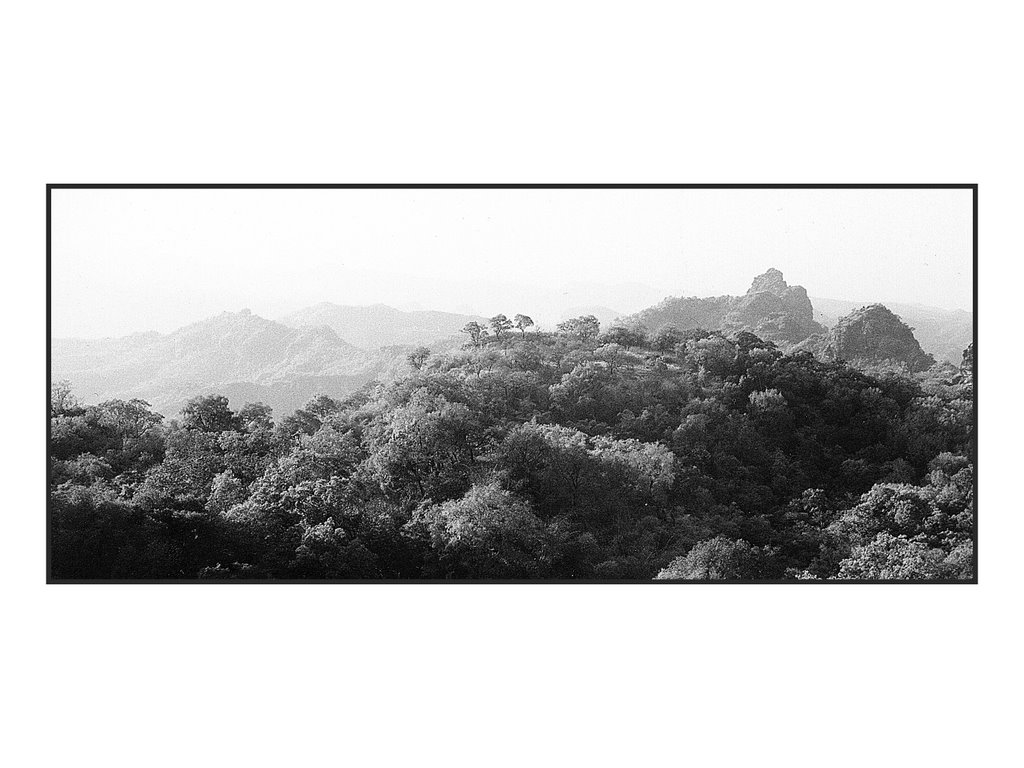 View Across the Road to Dhupgarh, Panchmarhi
