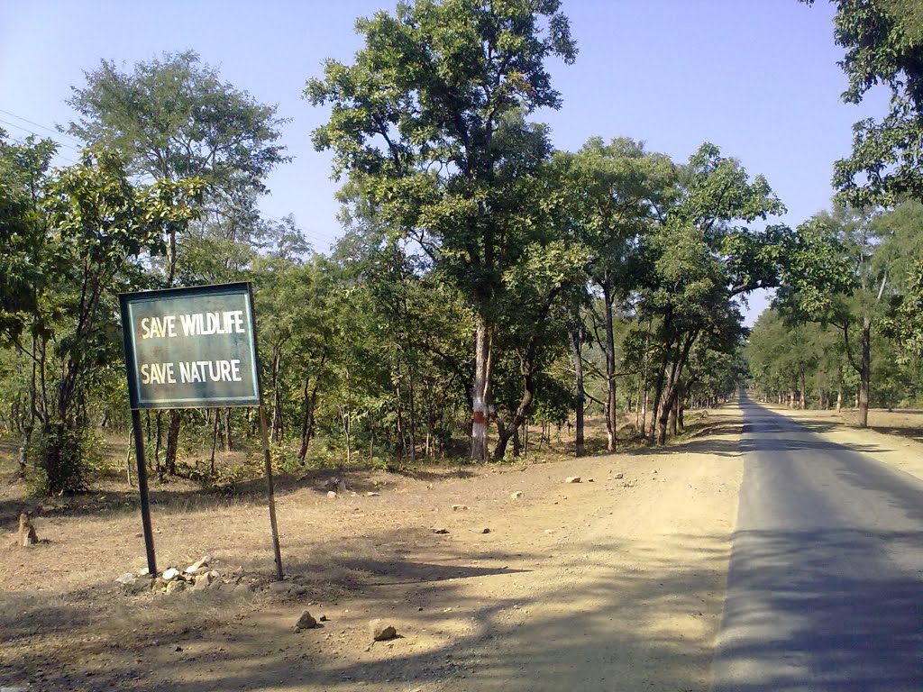 Save Wildlife, Save Nature