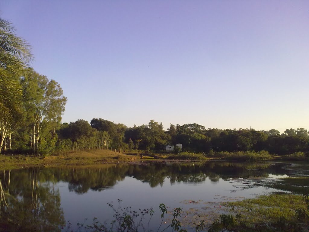 Reflections on the Lake