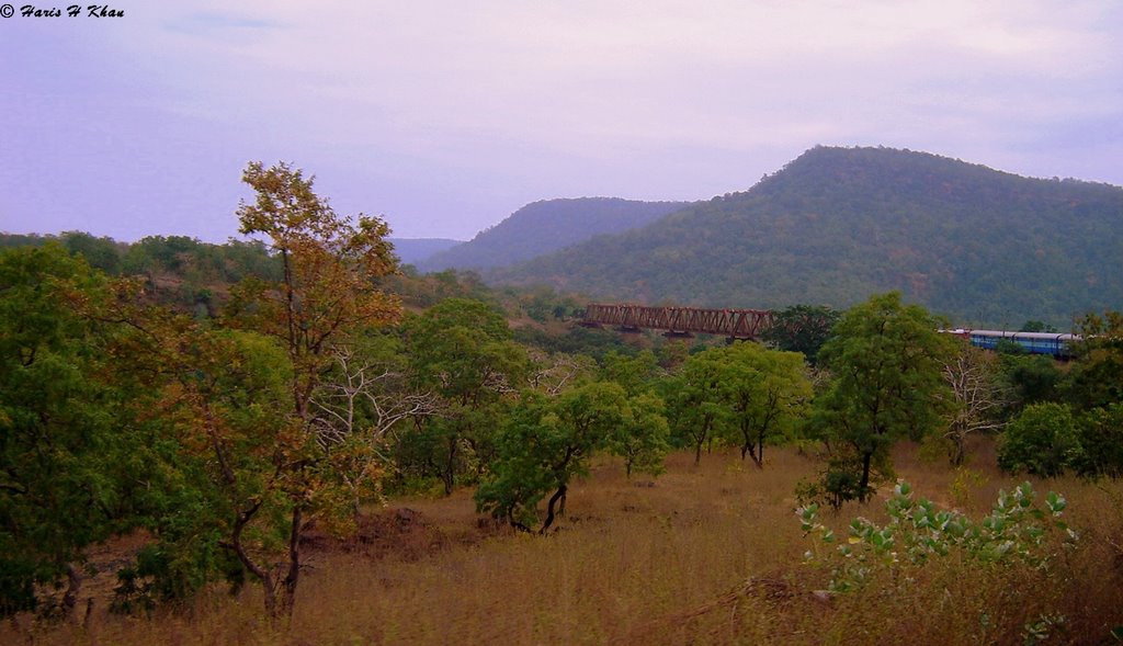 Narmada Scarps