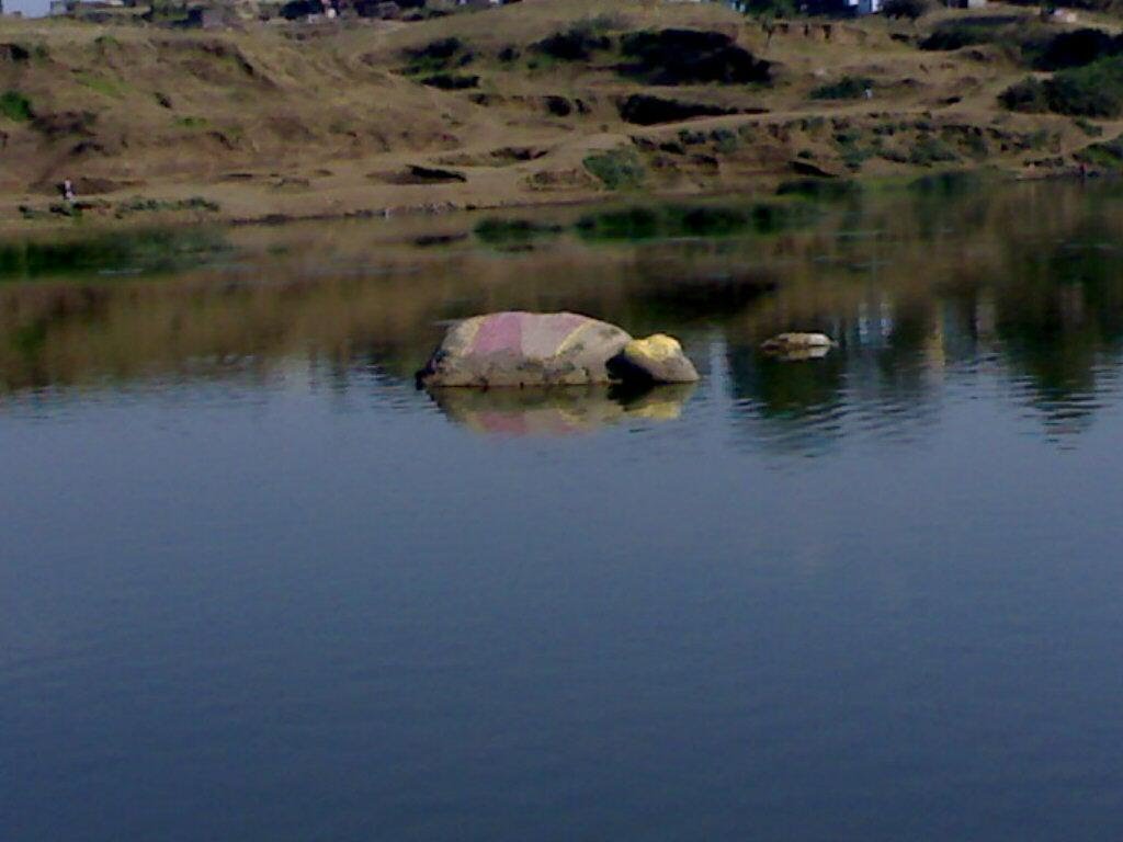 Stone Like Swimming Elephant
