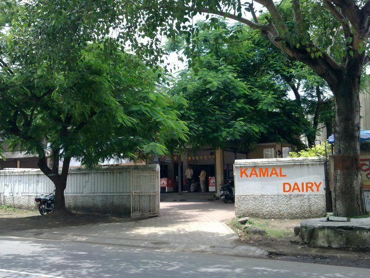 Kamal Dairy