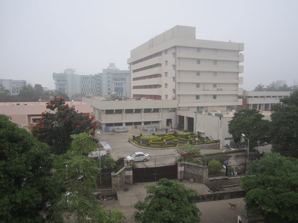 Reserve Bank of India
