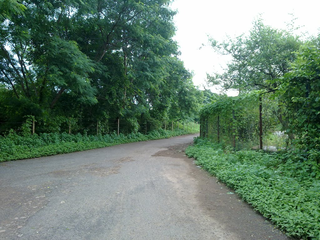near Gwalior  201209055443  064405.