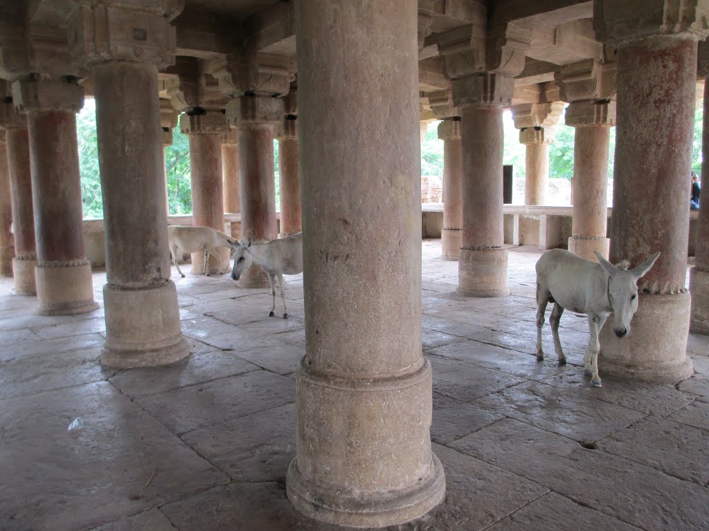 Fuerte de Gwalior. India