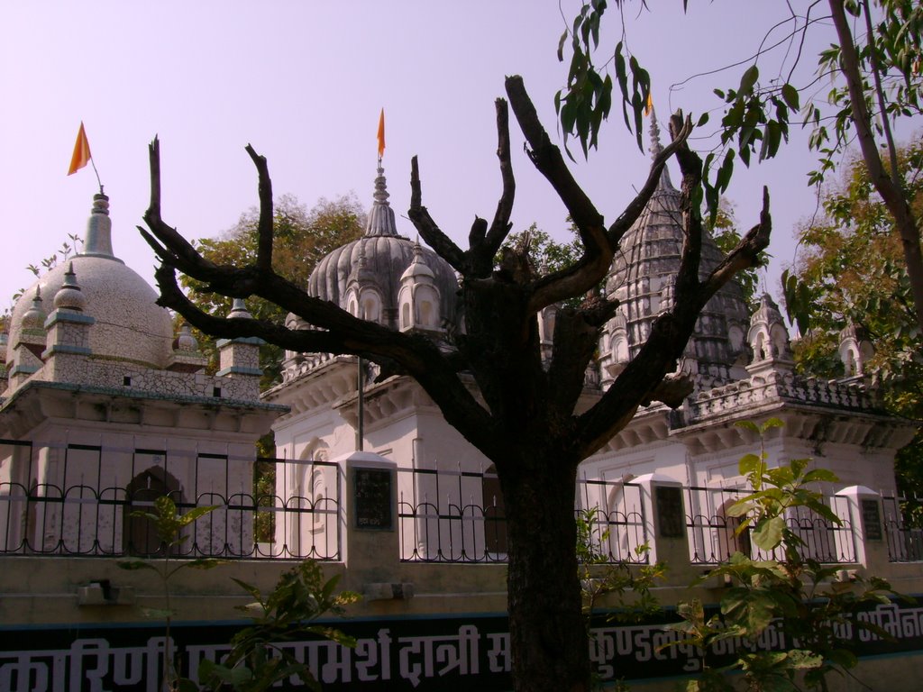 Damoh