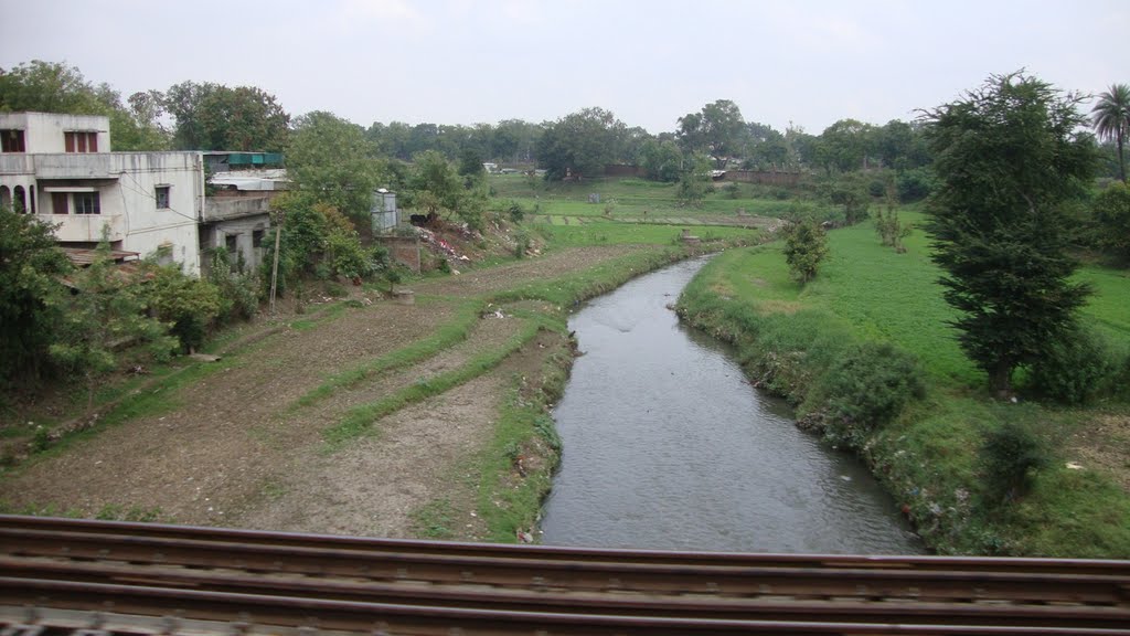 DSC08024 stream- Indore 12.12.54