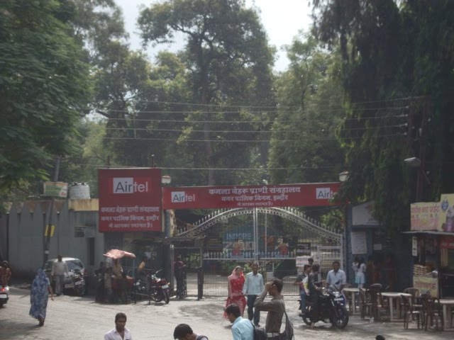 DSC08056 Kamala Nehru Praani Sangraalay(Zoo) SHRI SIDHESHWAR VEER HANUMAN MANDIR इंदौरஇந்தோர்Indore27