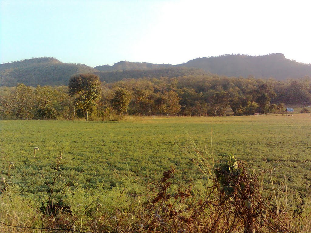 Akot