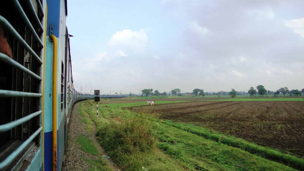 Dewas