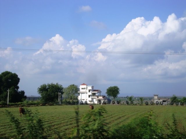 DSC08229 cultivated field 14.51.50