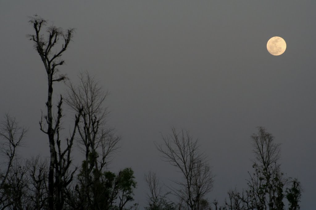 What a full moon night