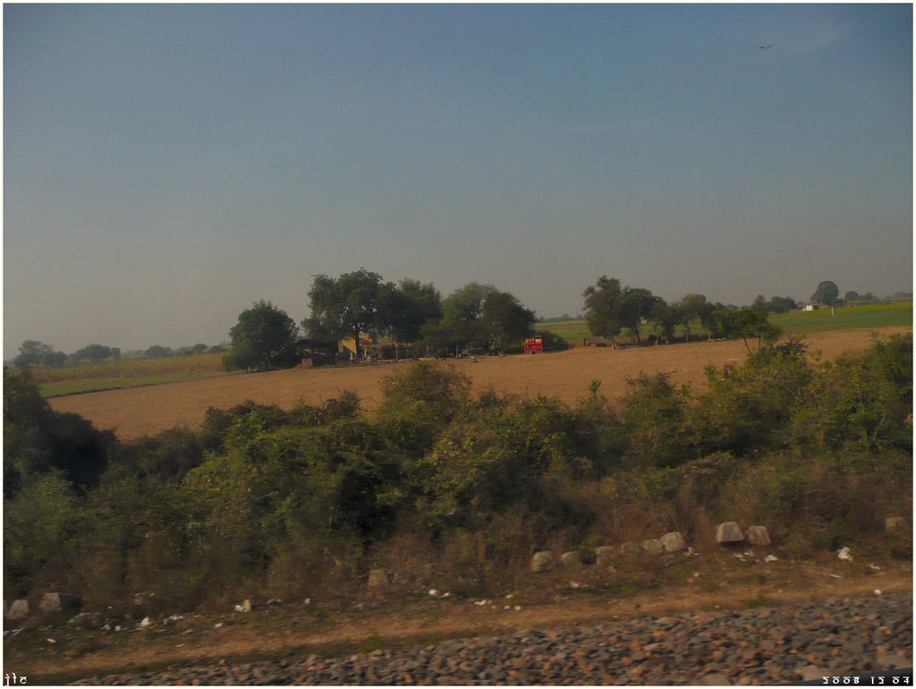 Via Férrea - Agra/Jhansi - India .τ®√ℓΞΛج