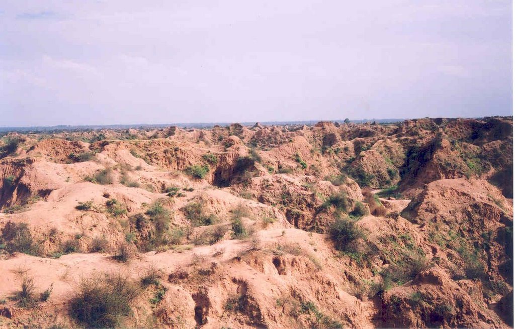 Bad Lands of Chambal River