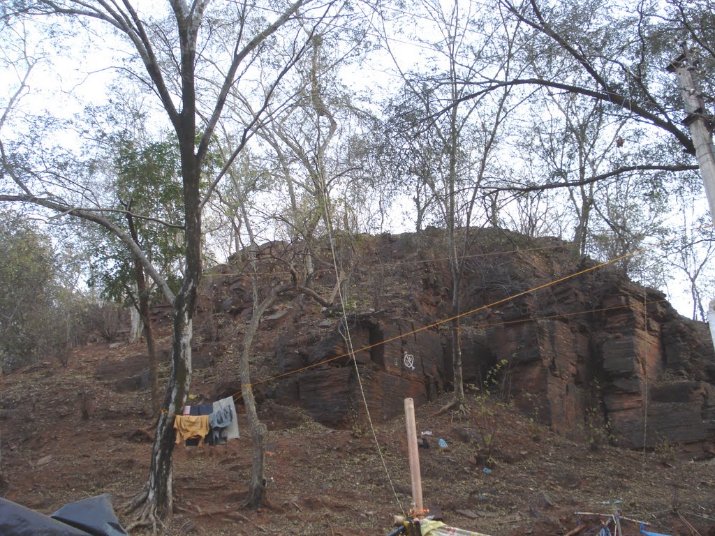 Forest  Rocks at Sheetla Mata Temple Gwalior