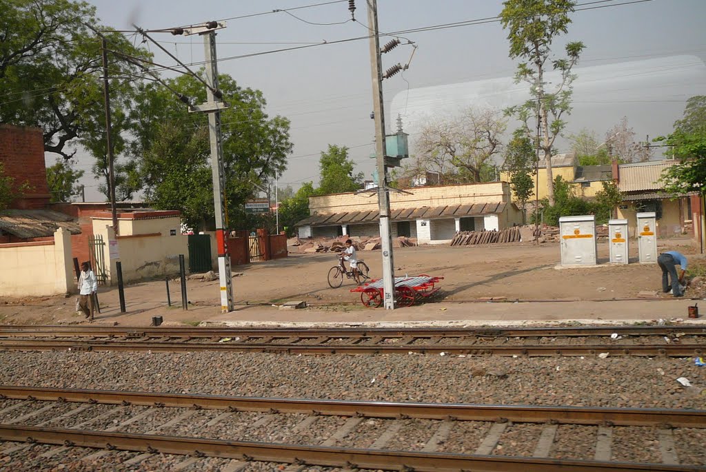 According to Jhansi