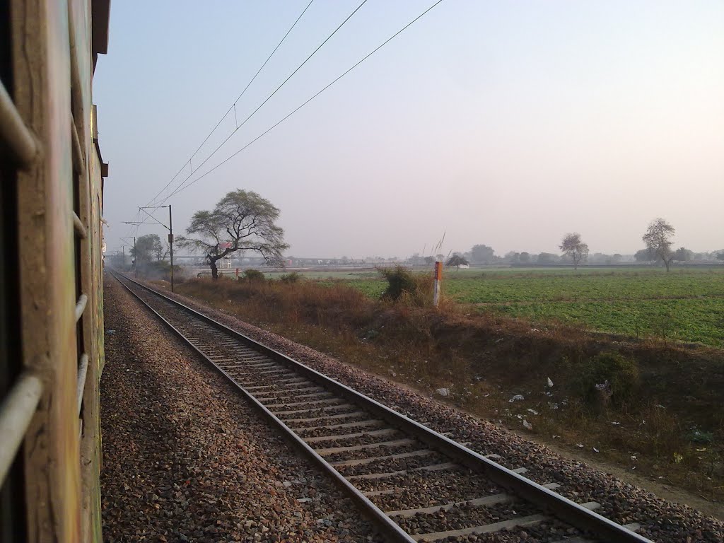 इटौरा  ਇਟੌਰਾ Itaura ఇటూరా   இடாவ்ரா     Itaura near Agra    201301197013.