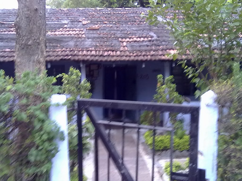 my home