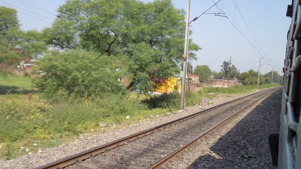 Approaching Katni, View from Moving Train