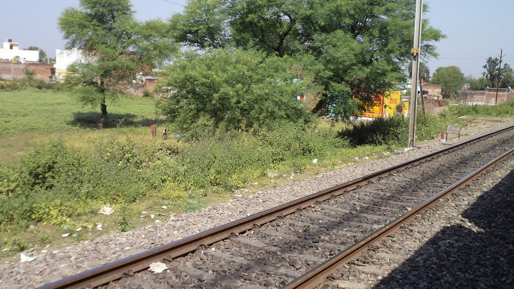 Approaching Katni, View from Moving Train