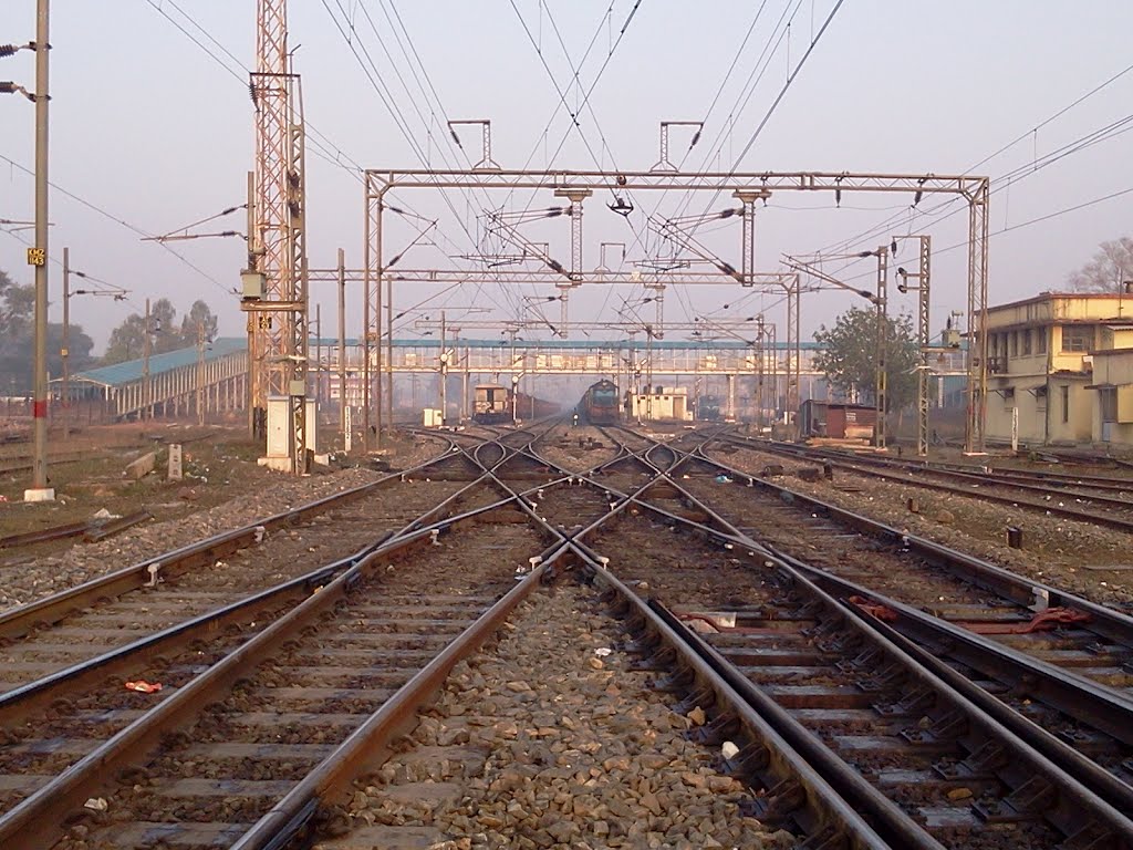 Katni Murwara..