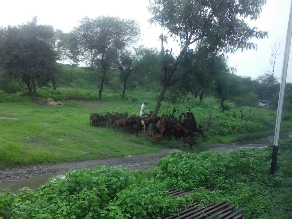 Katni Junction,Madhya Pradesh