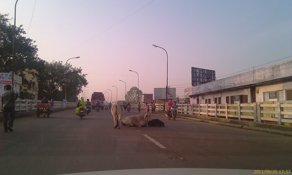Sailana road bridge ratlam