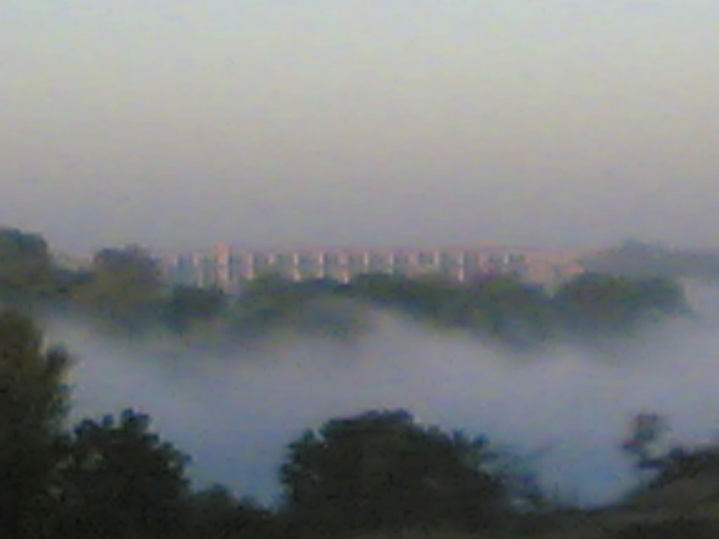 Majalgaon dam in fog
