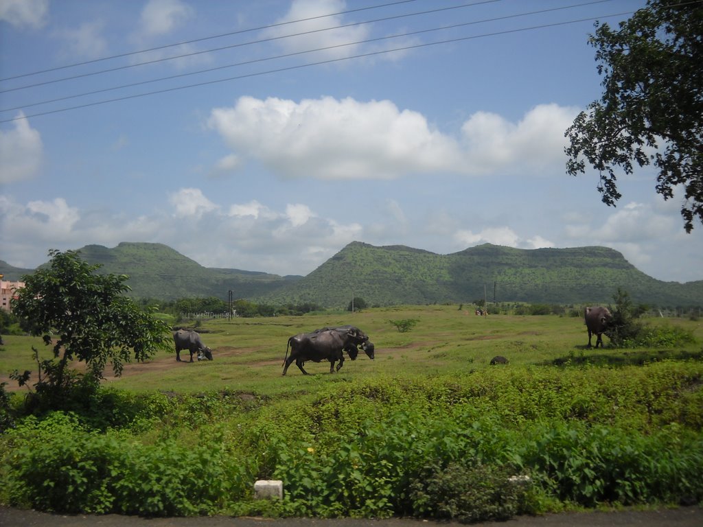 Maharastra countryside