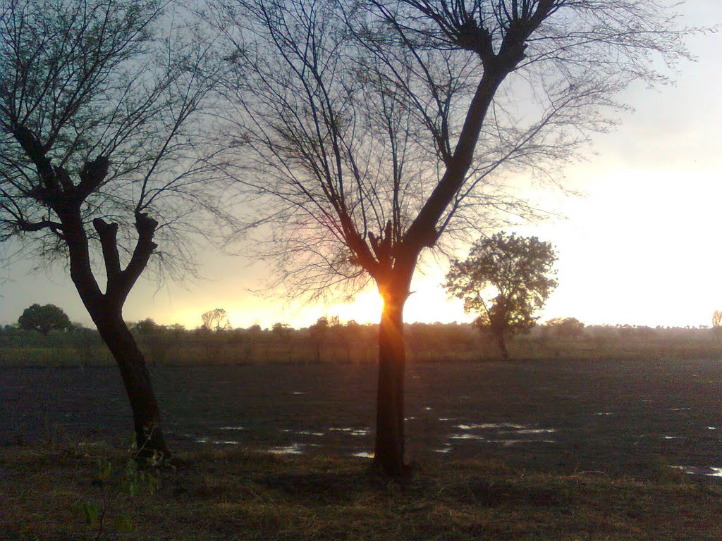 Sun behind the tree. वळीवाच्या नंतर सूर्यदर्शन