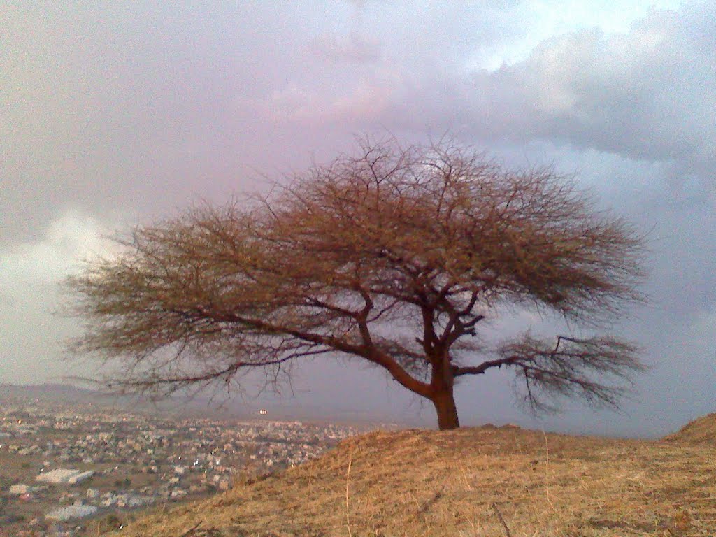 Satara