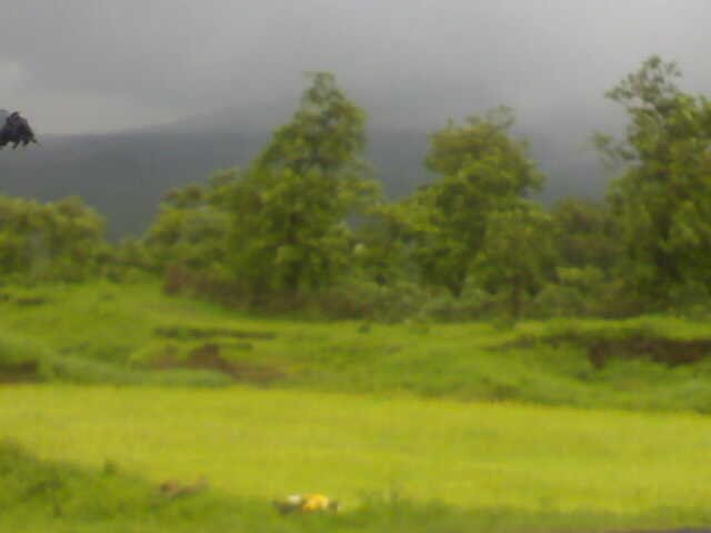 bhiwandi padgha