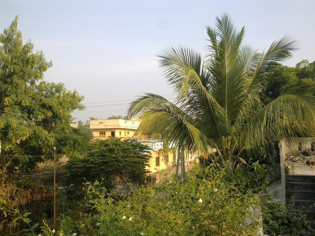 BSL , Maharashtra, India by Suresh Joshi