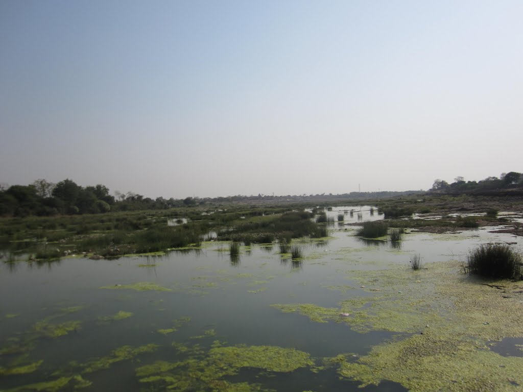 Wardha River from Bridge, Pulgaon, Wardha District, Maharashtra