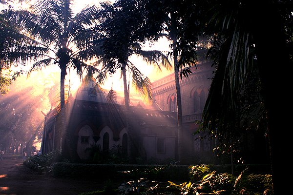 Town Hall: Historical museum surrounded with royal garden